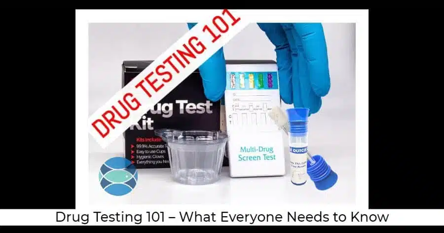 ovus medical Drug Testing 101 – What Everyone Needs to Know