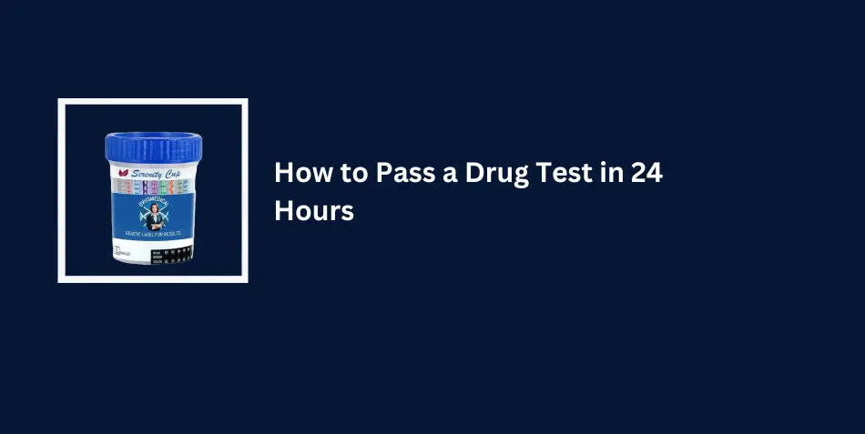 How to Pass a Drug Test in 24 Hours