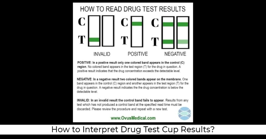 ovus medical How To Read a Urine Drug Test Results