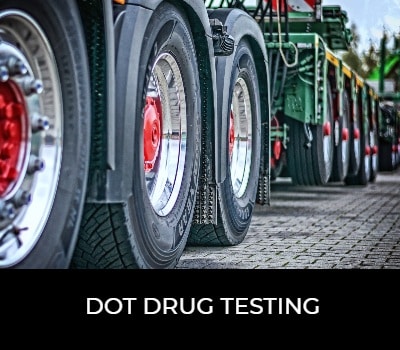 Drug Testing Supplies in Bulk