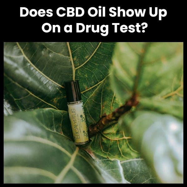 Does CBD Oil Show Up On a Drug Test_