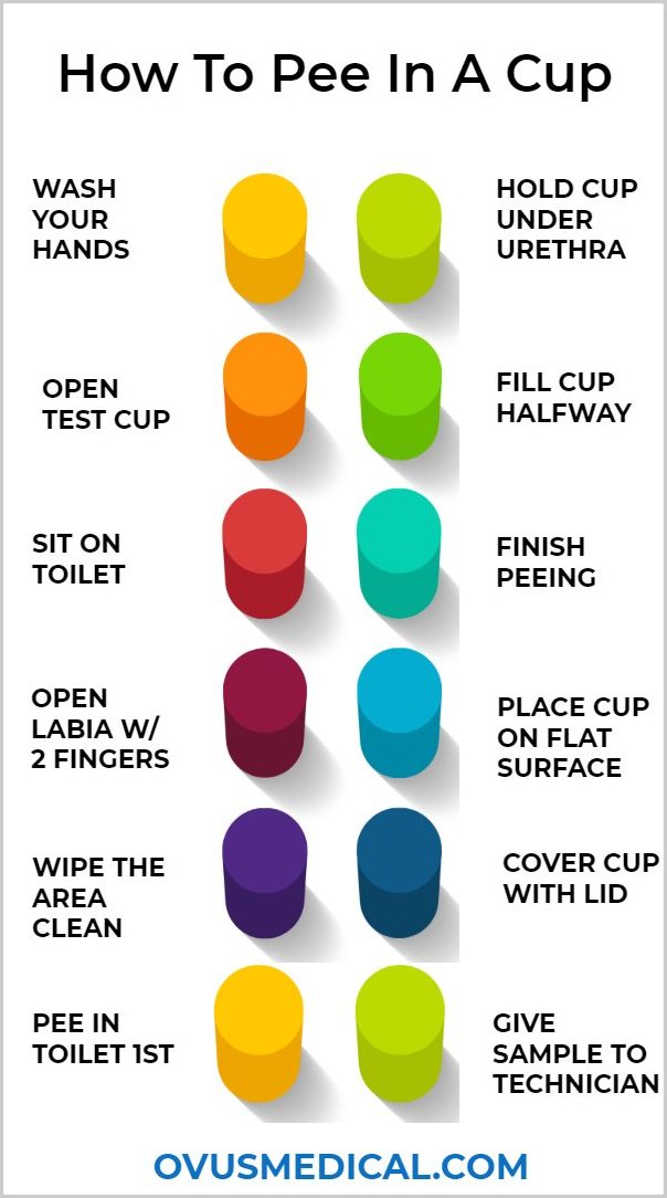 OVUS MEDICAL How To Pee In A Cup