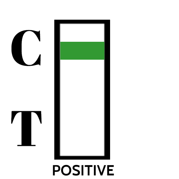 2 POSITIVE 1