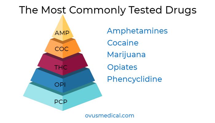 ovus medical The Most Commonly Tested Drugs