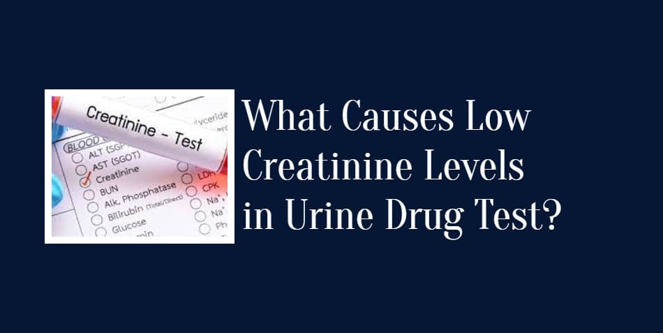 what Low Creatinine Levels in Urine Drug Test  mean.