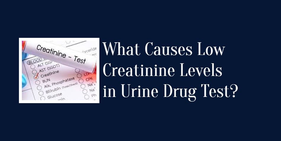 what-causes-low-creatinine-levels-in-urine-drug-test