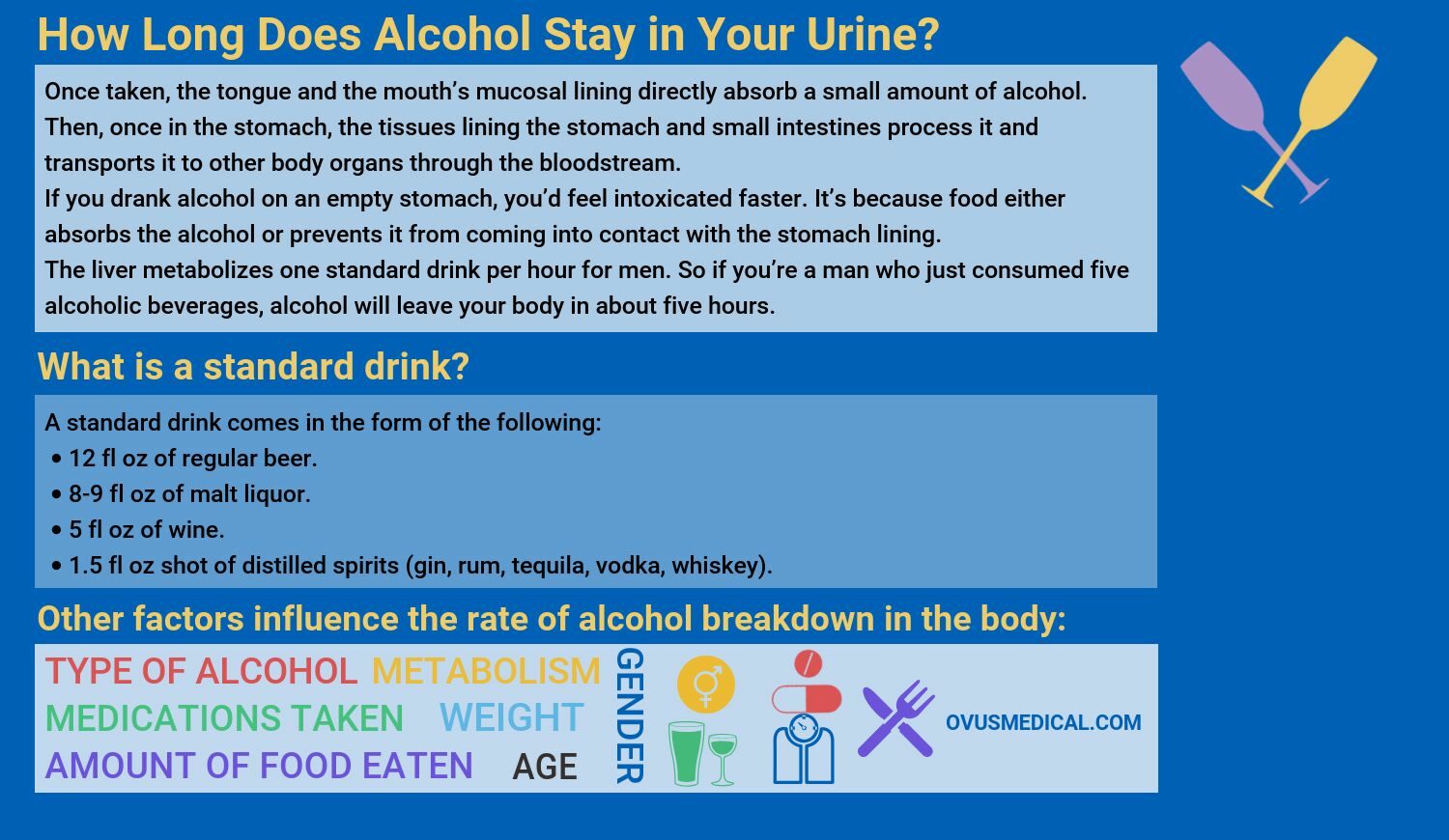 A doctor shares how long alcohol stays in your body