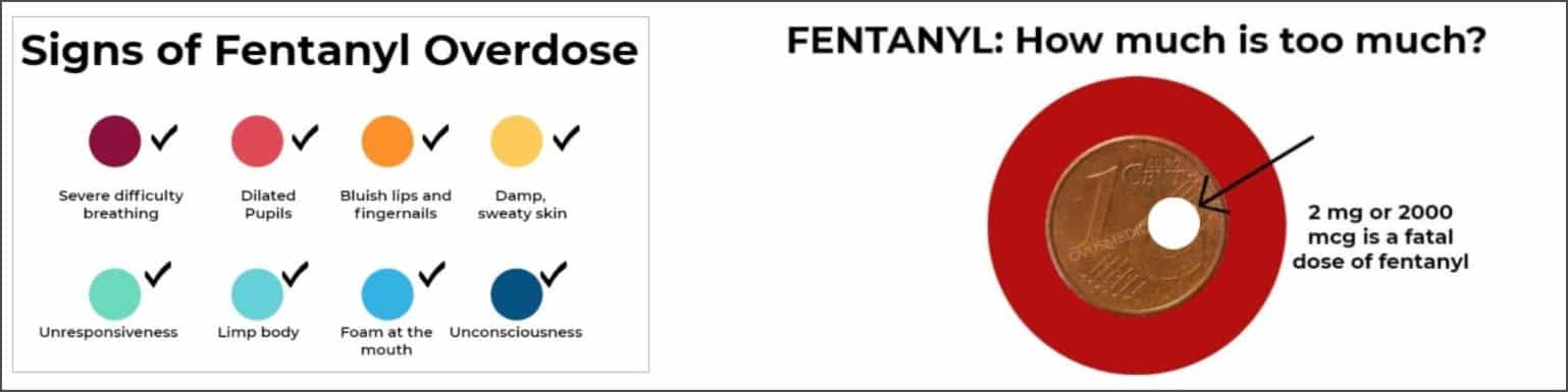 OVUS MEDICAL FENTANYL 1 1