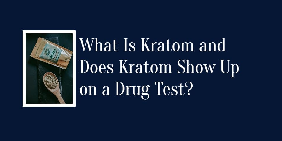 Ovus Medical What Is Kratom and Does Kratom Show Up on a Drug Test?