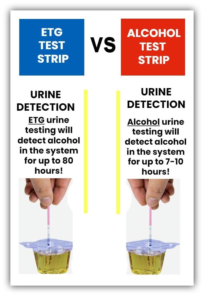 ovus medical ETG vs Alcohol test