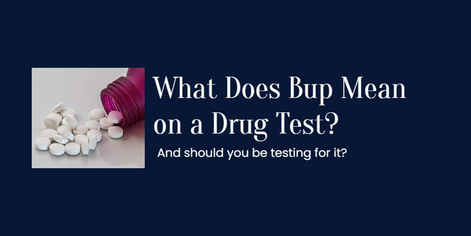 What Does Bup Mean on a Drug Test?