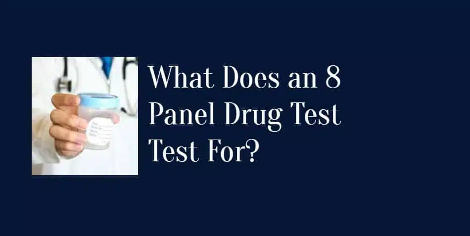 Ovus Medical What Does an 8 Panel Drug Test Test For?