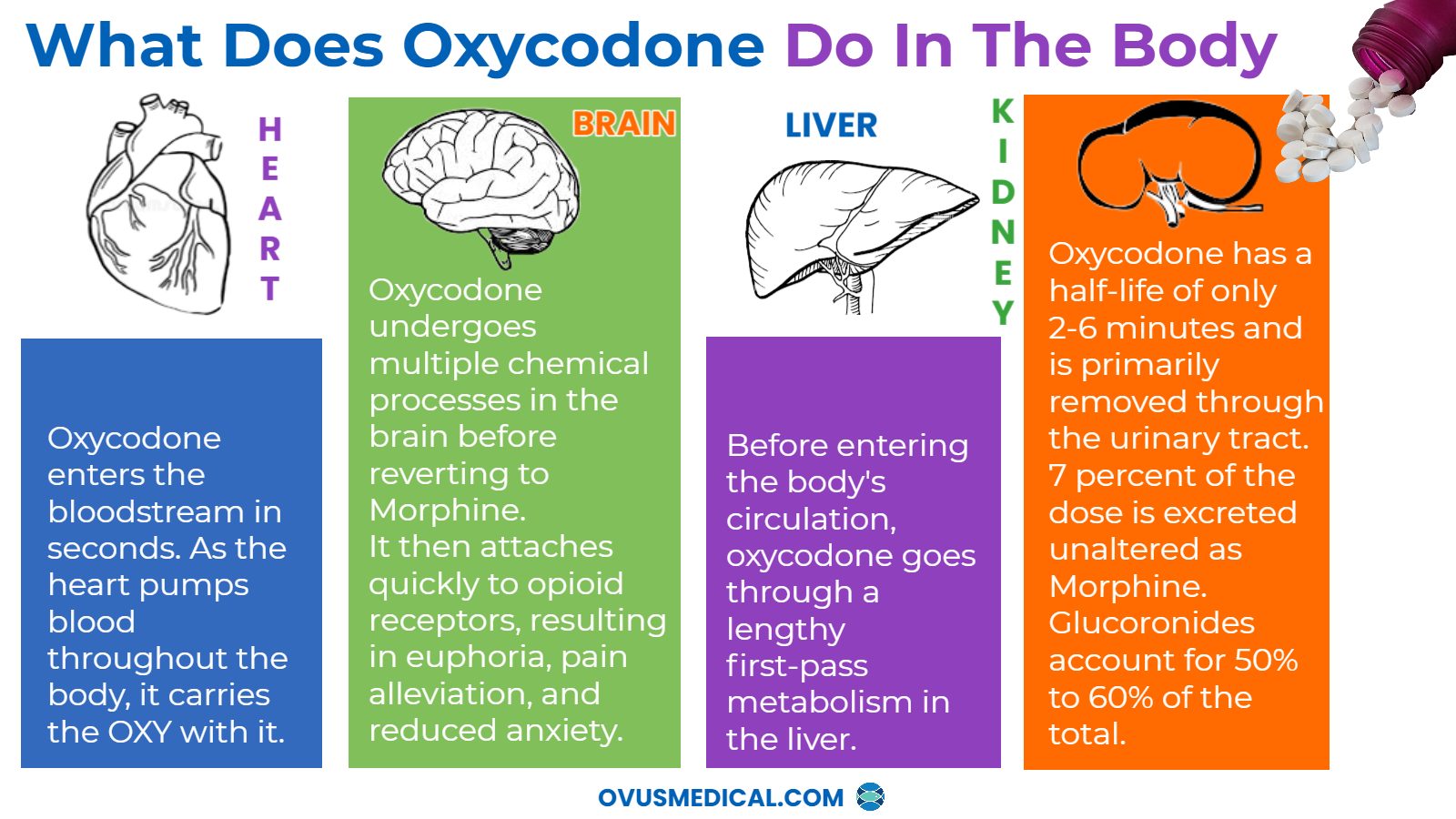 ovus medical What Does Oxycodone Do In The Body