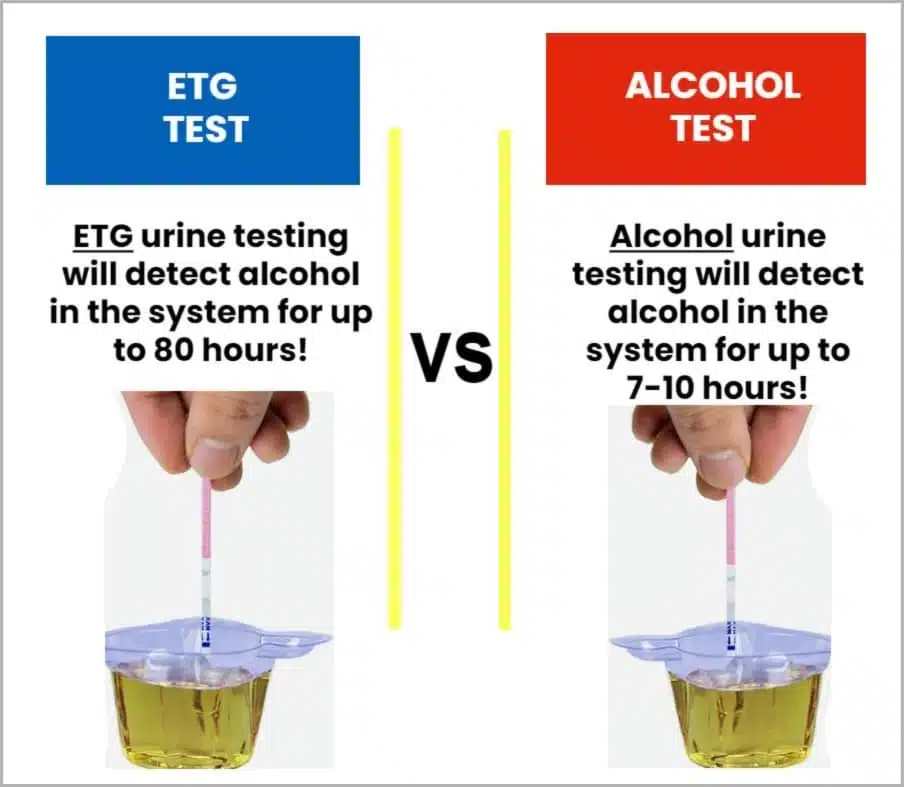 etg vs alcohol ML