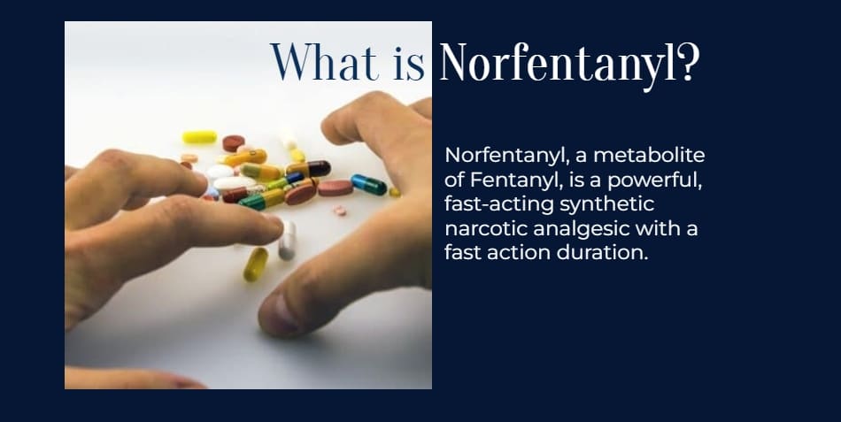 What is Norfentanyl?