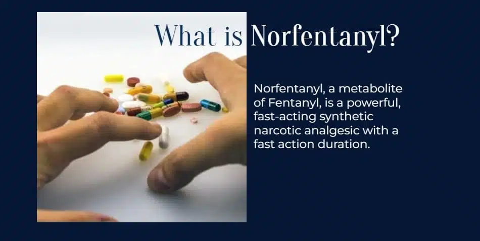 what is norfentanyl