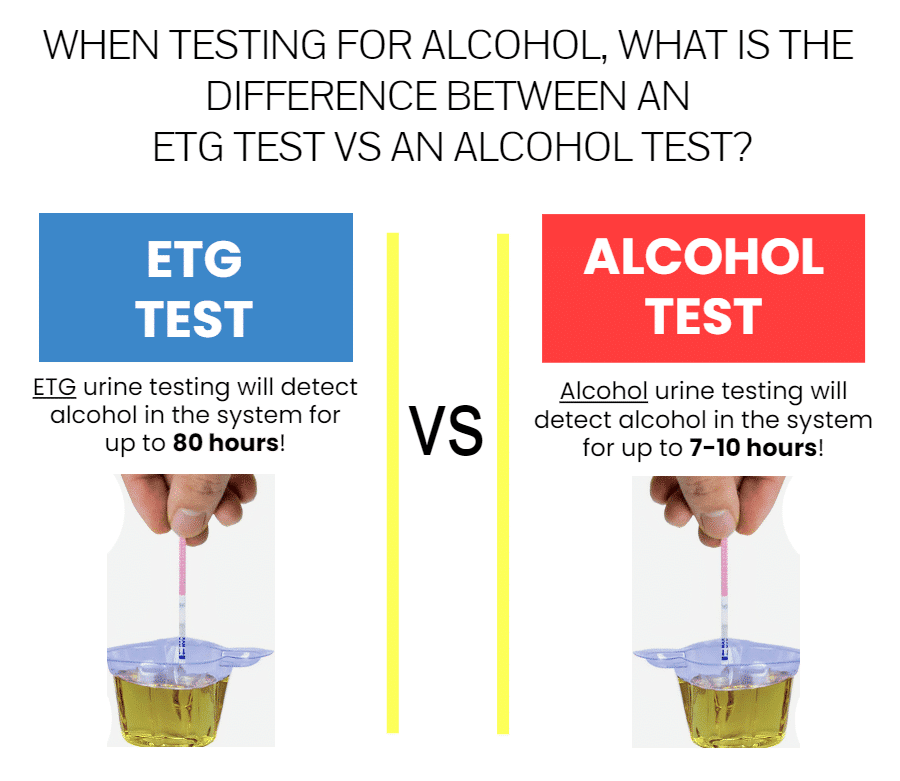 ETG Alcohol Test Strip - Easy And Accurate