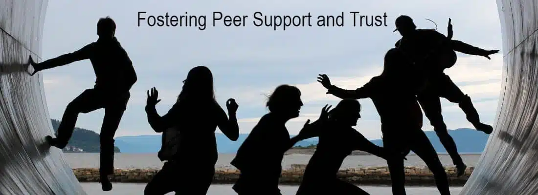 Fostering Peer Support and Trust