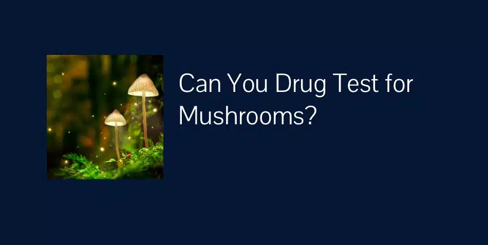 Can You Drug Test for Mushrooms? 