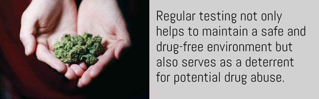 Bulk Drug Test Kit Purchases Benefit Schools and Institutions 1 2