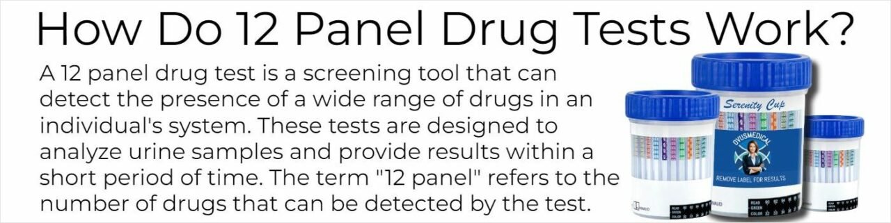 Quest Diagnostics 12 Panel Drug Test 12 Panel Drug Test. Understand The Accuracy And Reliability.