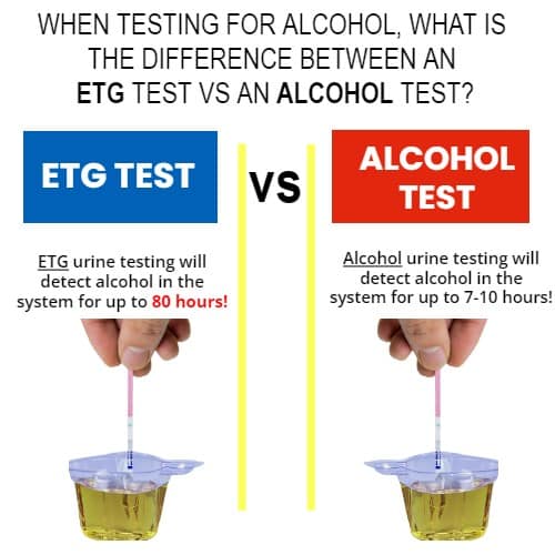 etg vs alcohol
