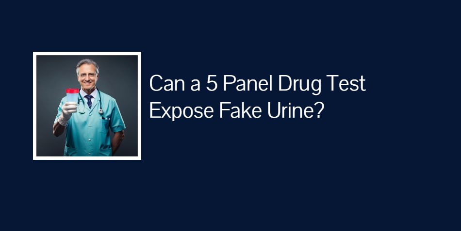 Expose Fake Urine with a 5 Panel Drug Test?