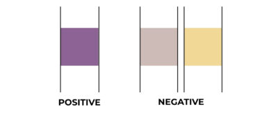 How to interpret GHB results on the drink spike pen test