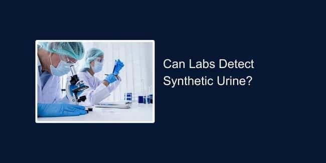 Can Labs Detect Synthetic Urine?