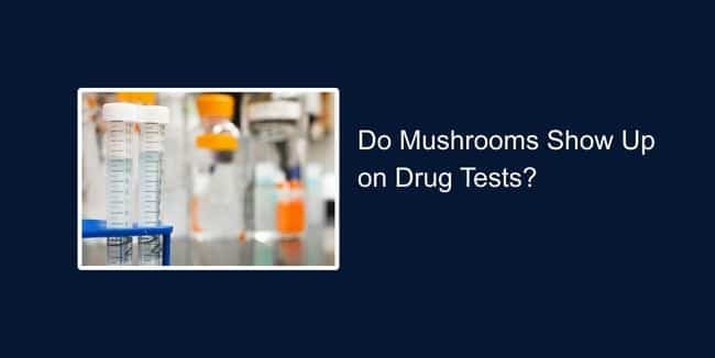 Do Mushrooms Show Up on Drug Tests